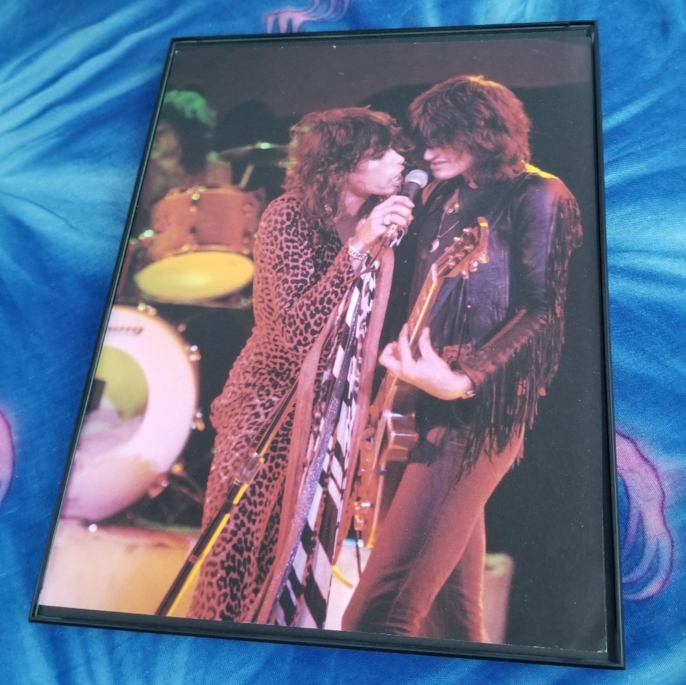 Aerosmith Steven Tyler Cheetah Costume Joe Perry Guitar Rock Get Your Wings